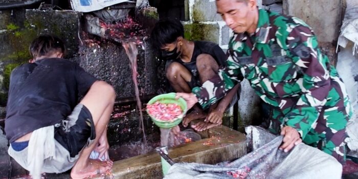 Hasil kerja keras Perwira Korem 081/DSJ, Letda Inf Sunariyono untuk dapat meningkatkan kesejahteraan keluarganya kini membuahkan hasil yang manis.